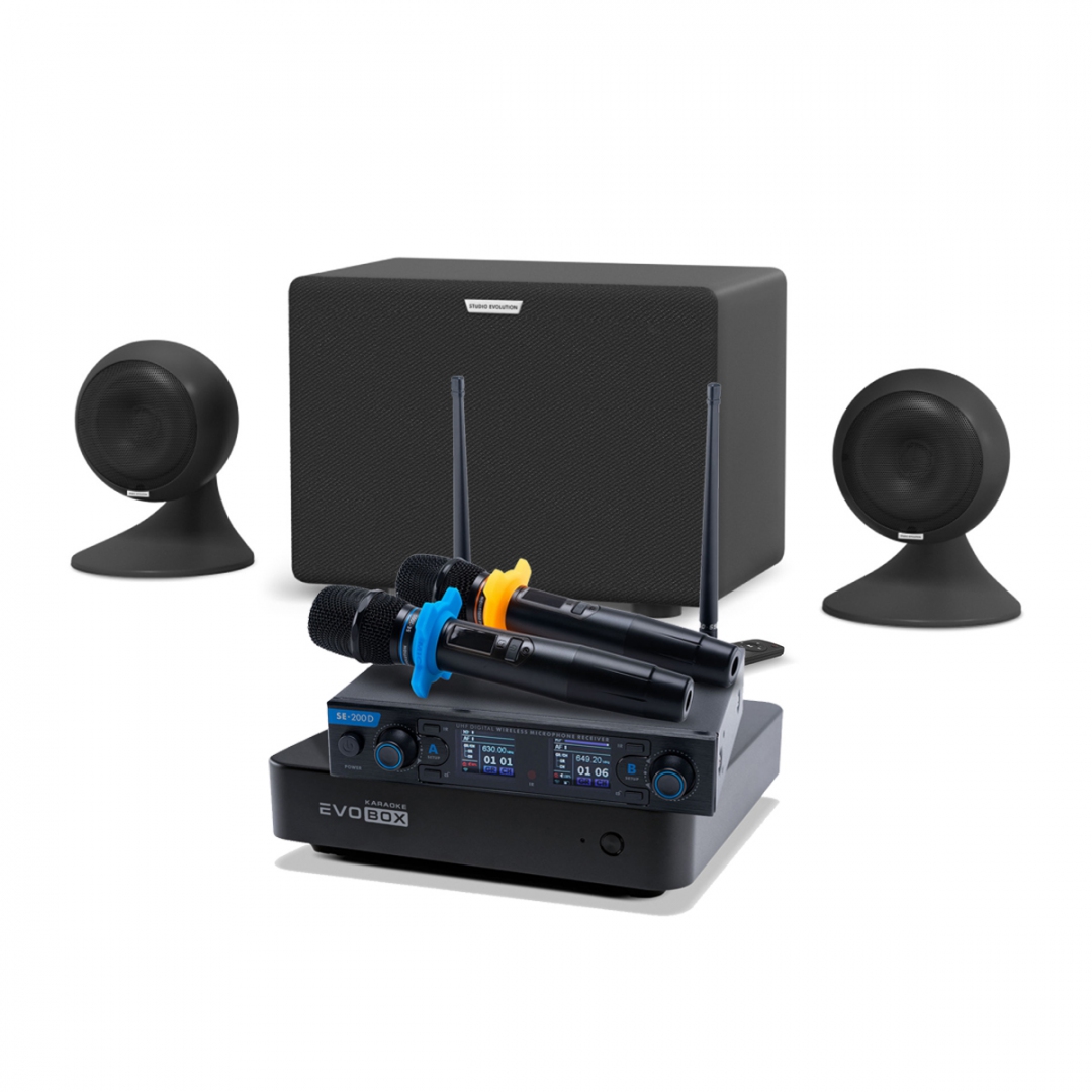 караоке-комплект EVOBOX + EvoSound Sphere 2.1 в Архангельске