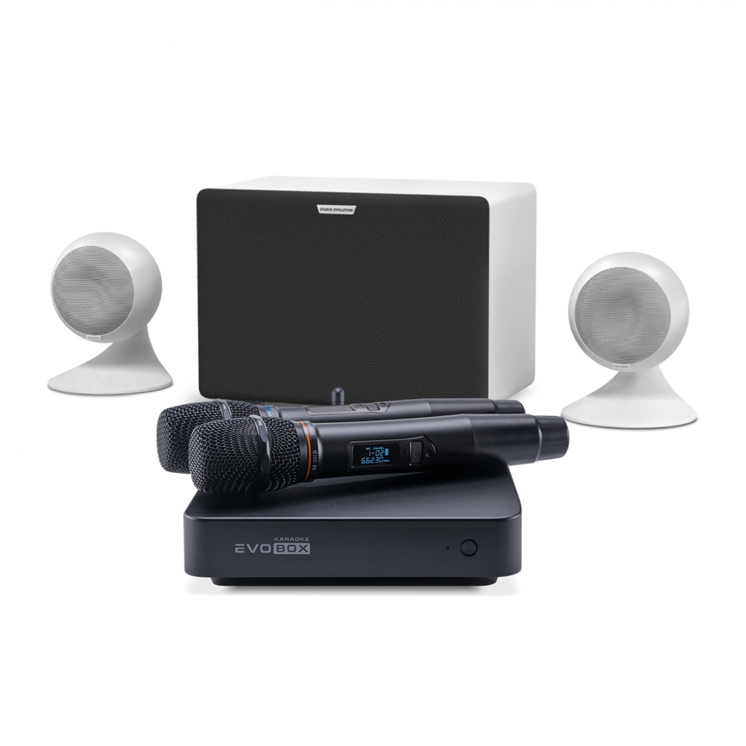 караоке-комплект EVOBOX Classic + EvoSound Sphere 2.1 в Архангельске