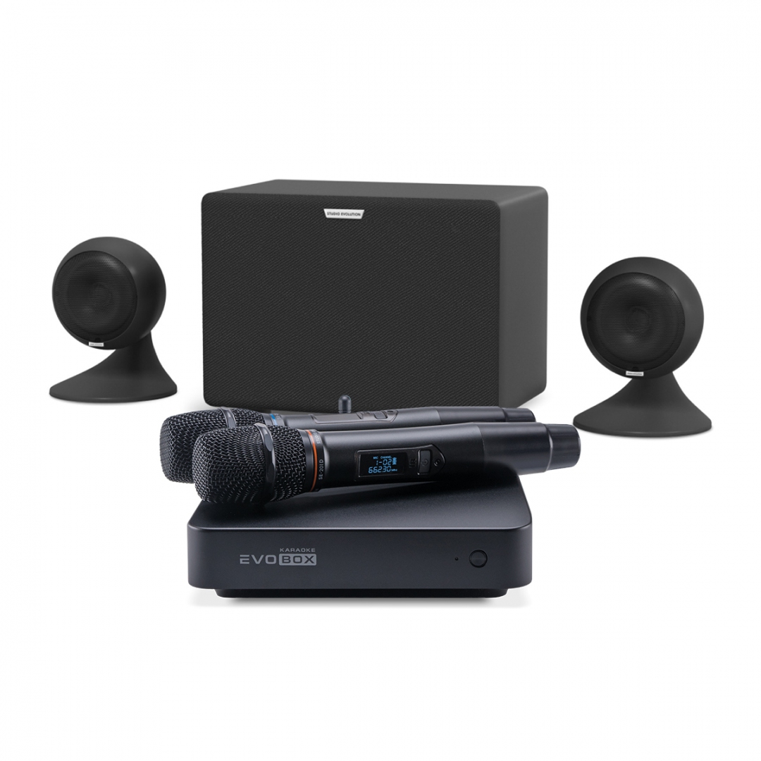 караоке-комплект EVOBOX Plus + EvoSound Sphere 2.1 в Архангельске