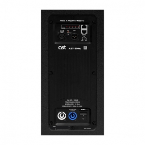 Активная акустическая система AST-310A в Архангельске