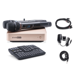 EVOBOX Classic караоке-система для дома в Архангельске